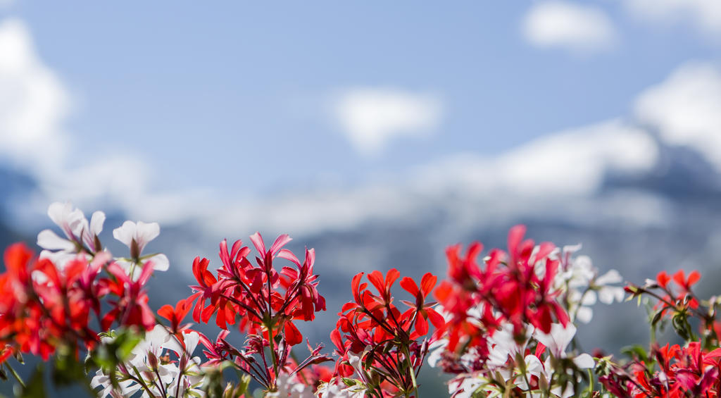 Artemis Easy Stay Self Check In-Out Saas-Fee Ngoại thất bức ảnh