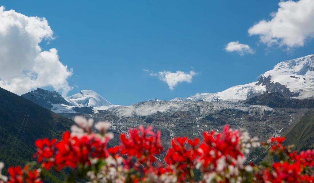 Artemis Easy Stay Self Check In-Out Saas-Fee Phòng bức ảnh